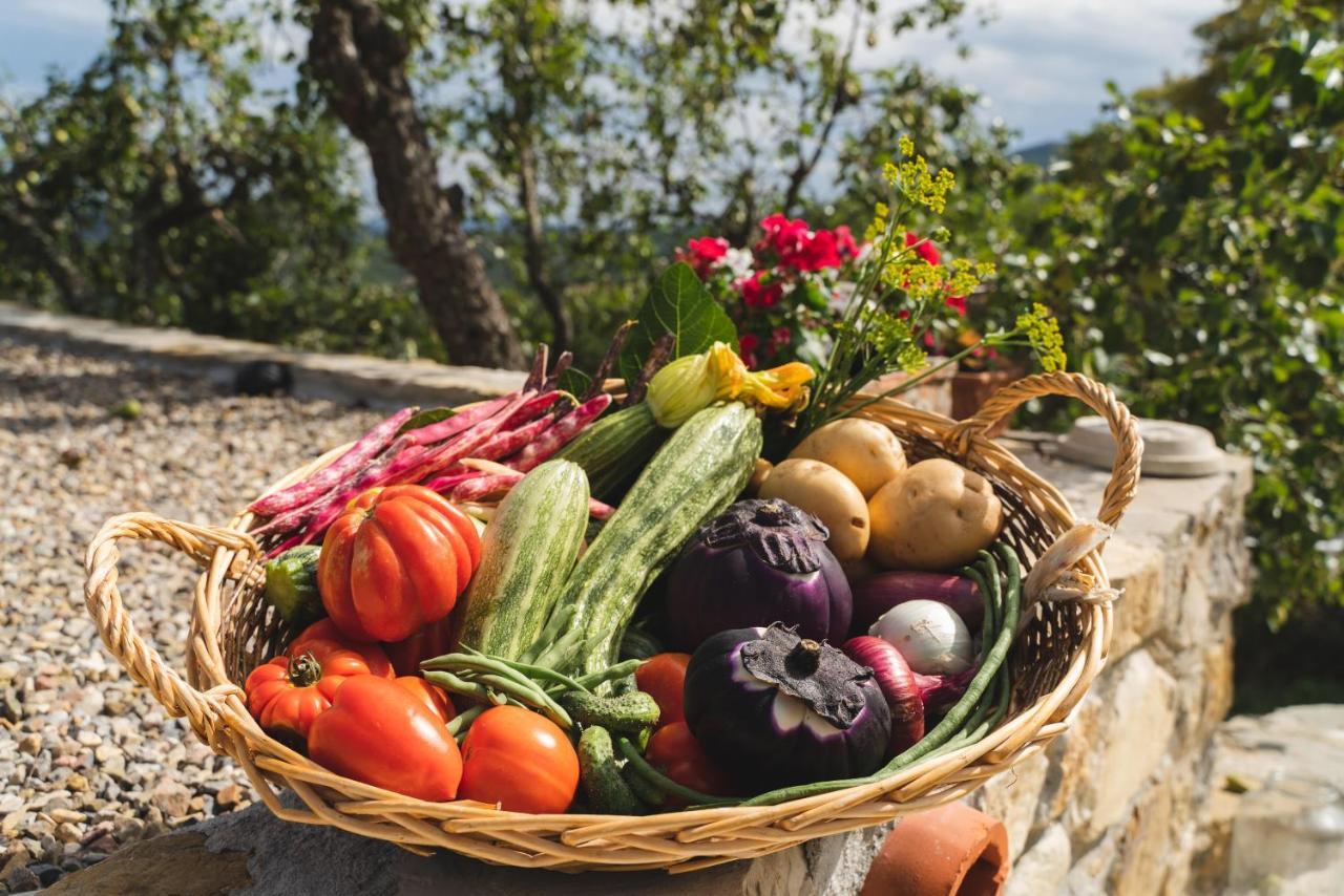 Agriturismo Le Fonti 波塔斯维 外观 照片
