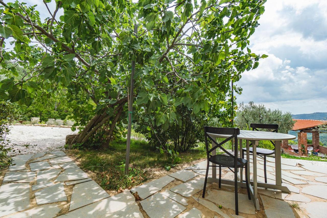 Agriturismo Le Fonti 波塔斯维 外观 照片